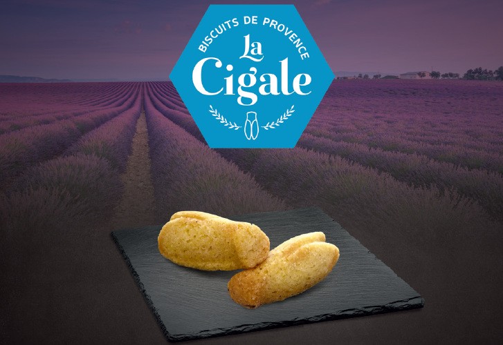 Biscuit "La Cigale"